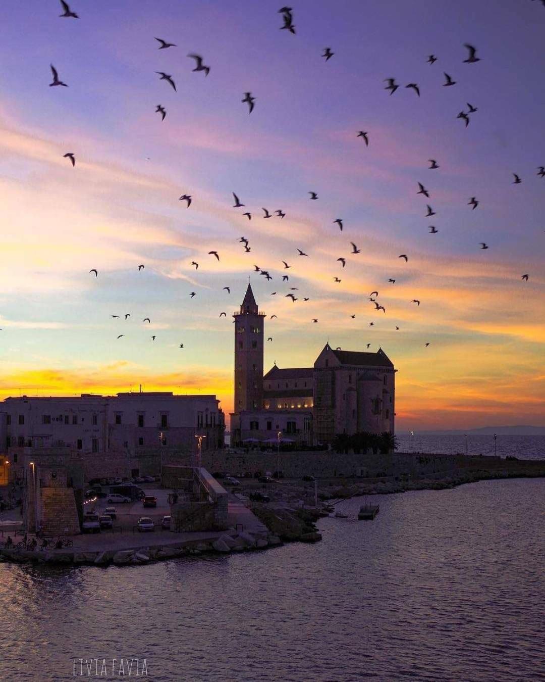 Bed & Breakfast La Soffitta Covelli Trani